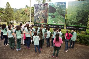 Dia Mundial do Meio Ambiente