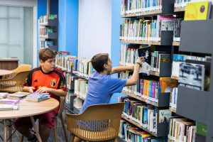 BIBLIOTECA DA USIMINAS para perfis DOBRADOS